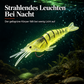 🔥🎁 2+1 GRATIS!!🎣 Leuchtender Minnow-Hartköder – Nachtangelköder 🌙✨