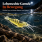 🔥🎁 2+1 GRATIS!!🎣 Leuchtender Minnow-Hartköder – Nachtangelköder 🌙✨