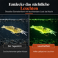 🔥🎁 2+1 GRATIS!!🎣 Leuchtender Minnow-Hartköder – Nachtangelköder 🌙✨