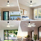 🔥ZOMERVERKOOP 61% UIT🔥 2-IN-1 PORTABLE CEILING FAN & LIGHT met afstandsbediening
