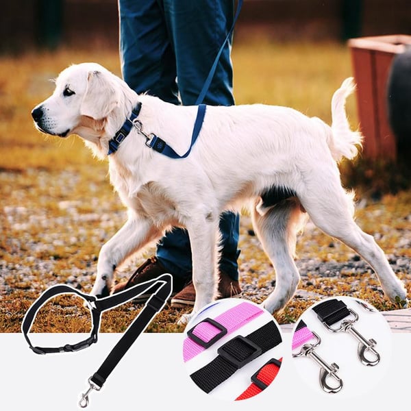📢📢50 % Rabatt!! ⏰🎁 2+1 GRATIS!! 🥳🐶 Heißer Verkauf – Einziehbarer Hunde-Autosicherheitsgurt 🚗