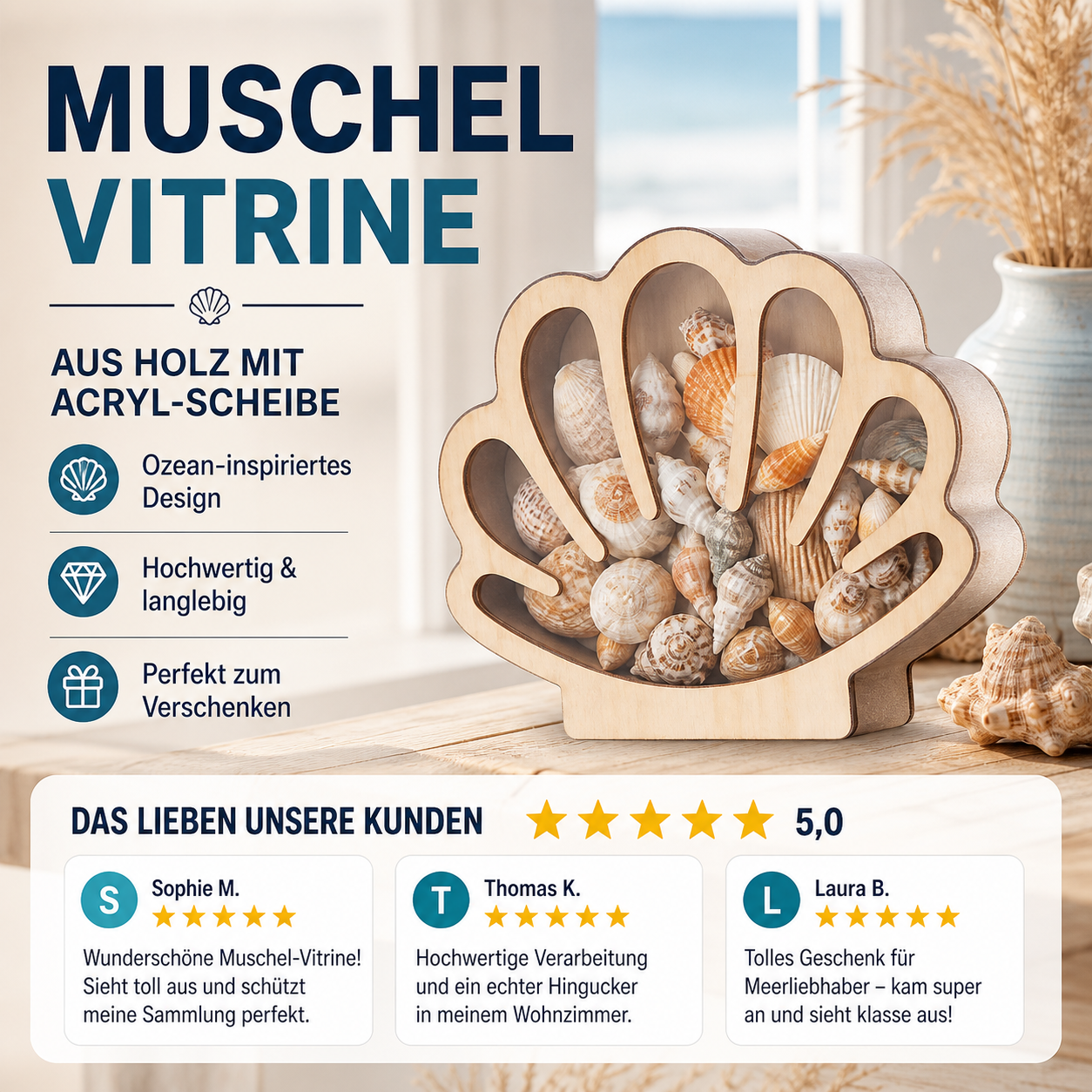 🐚 JETZT 50% RABATT! ✨ Muschel-Vitrine mit Acrylscheibe – Transparent & staubdicht – Perfekt für Sammlungen, Basteln oder Souvenirs – Elegante Tisch- oder Regaldekoration 🏖️🌟
