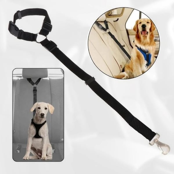 📢📢50 % Rabatt!! ⏰🎁 2+1 GRATIS!! 🥳🐶 Heißer Verkauf – Einziehbarer Hunde-Autosicherheitsgurt 🚗