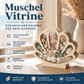🐚 JETZT 50% RABATT! ✨ Muschel-Vitrine mit Acrylscheibe – Transparent & staubdicht – Perfekt für Sammlungen, Basteln oder Souvenirs – Elegante Tisch- oder Regaldekoration 🏖️🌟