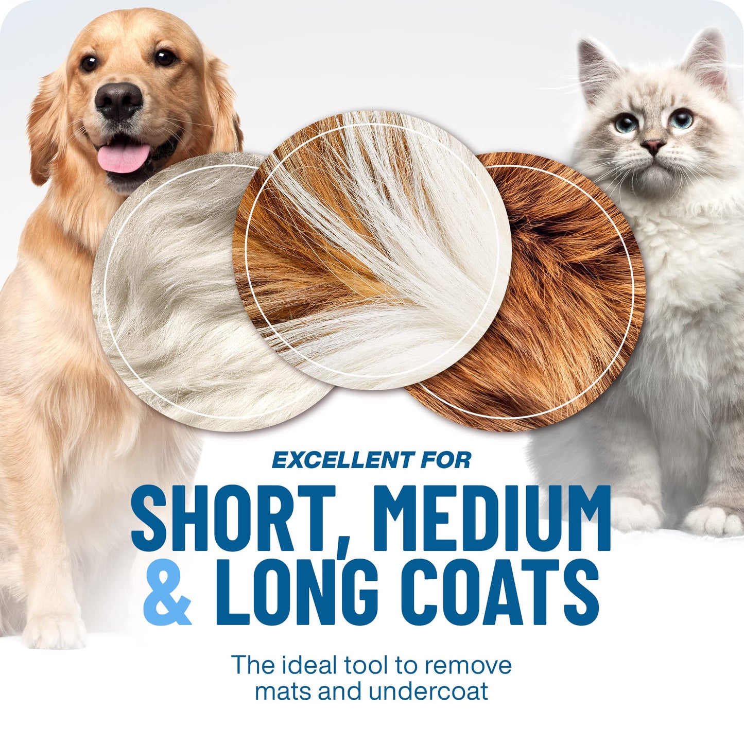 📢📢 50 % Rabatt!! 🐶🐱 Professionelles Enthaarungs-Tool für Hunde & Katzen – Entfernt Lose Haare Effektiv, Sanft zur Haut & Einfache Reinigung 🧼