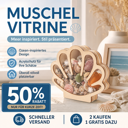 🐚 JETZT 50% RABATT! ✨ Muschel-Vitrine mit Acrylscheibe – Transparent & staubdicht – Perfekt für Sammlungen, Basteln oder Souvenirs – Elegante Tisch- oder Regaldekoration 🏖️🌟