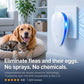 🔥🎁 2+1 GRATIS!!🥳🏠 Verbesserter Ultraschall‑Schädlingsabwehrer, vertreibt Flöhe, Insekten und Nagetiere, steckdosenbetrieben