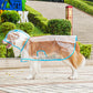 🐕🐱Transparenter Regenmantel für Hunde