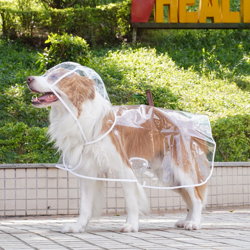 🐕🐱Transparenter Regenmantel für Hunde