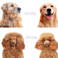 📢📢 50 % Rabatt!! 🐶🐱 Professionelles Enthaarungs-Tool für Hunde & Katzen – Entfernt Lose Haare Effektiv, Sanft zur Haut & Einfache Reinigung 🧼
