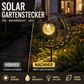 🥳50 % Rabatt!!🌙✨ Solar-Gartenstecklampe mit Kolibri- und Mondmotiv