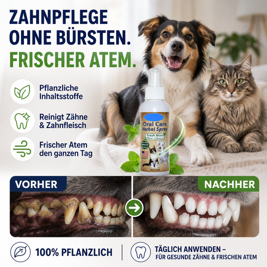 📢📢50 % Rabatt!! ⏰🐾 Haustier-Zahnsspray ohne Bürsten ✨ Einfach aufsprühen, bekämpft Mundgeruch & entfernt Zahnbelag!