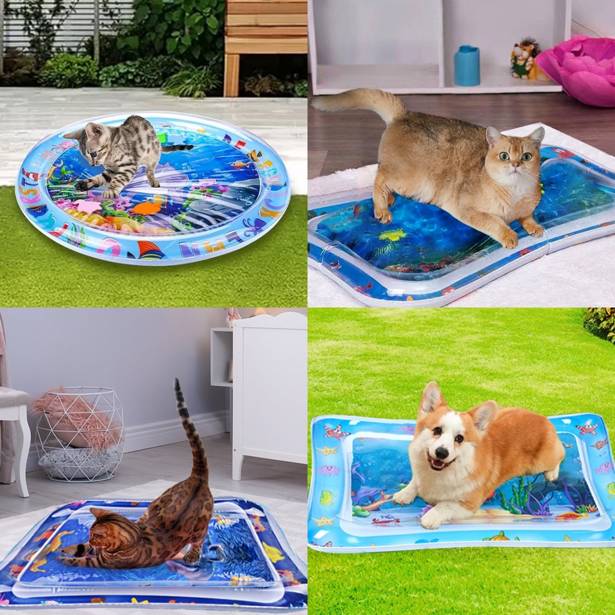 🐱 Unleash the Fun for Indoor Cats – 49% OFF ✨ Pet Water Sensory Mat – For Playful Hunting & Cooling Relief! 🐟