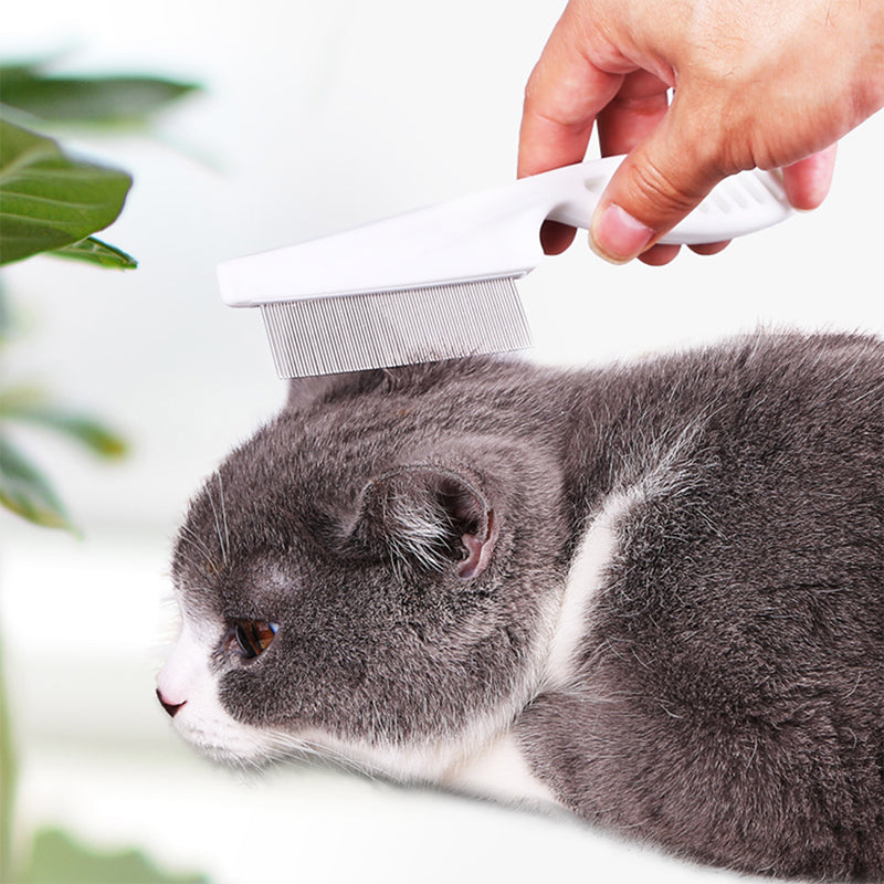🐾 1 kaufen, 1 gratis! 🛁 Multifunktionale Pflegebürste für Haustiere – Feine Edelstahlnadeln gegen Tränensteine & Flöhe ✨