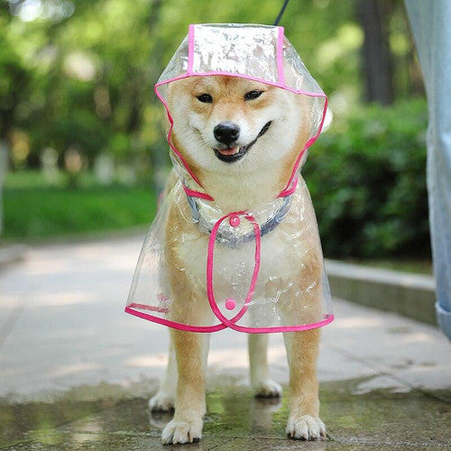 🐕🐱Transparenter Regenmantel für Hunde