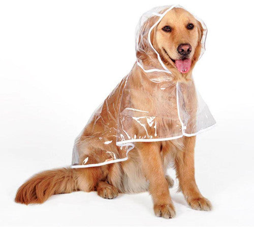 🐕🐱Transparenter Regenmantel für Hunde