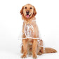 🐕🐱Transparenter Regenmantel für Hunde