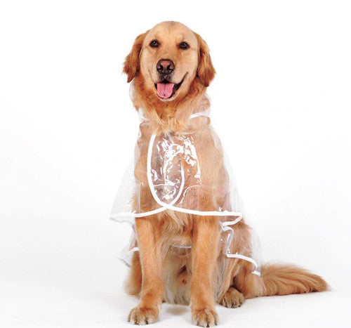 🐕🐱Transparenter Regenmantel für Hunde