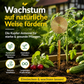 🔥🔥 2026 NEU 🥳💞2+1 GRATIS!!⚡🌱Wachstumsfördernde Elektrokultur-Pflanzenstäbe