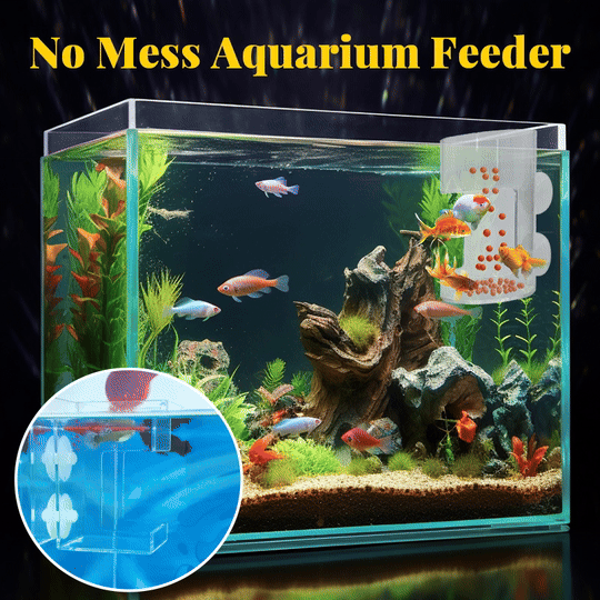 ⏳ Begrenzte Zeit 50% Rabatt!! 🐟✨ Futterring und -schale für Aquarien