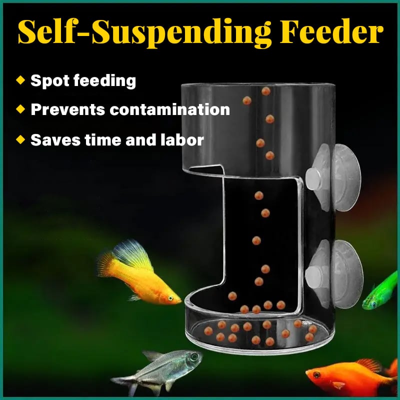 ⏳ Begrenzte Zeit 50% Rabatt!! 🐟✨ Futterring und -schale für Aquarien