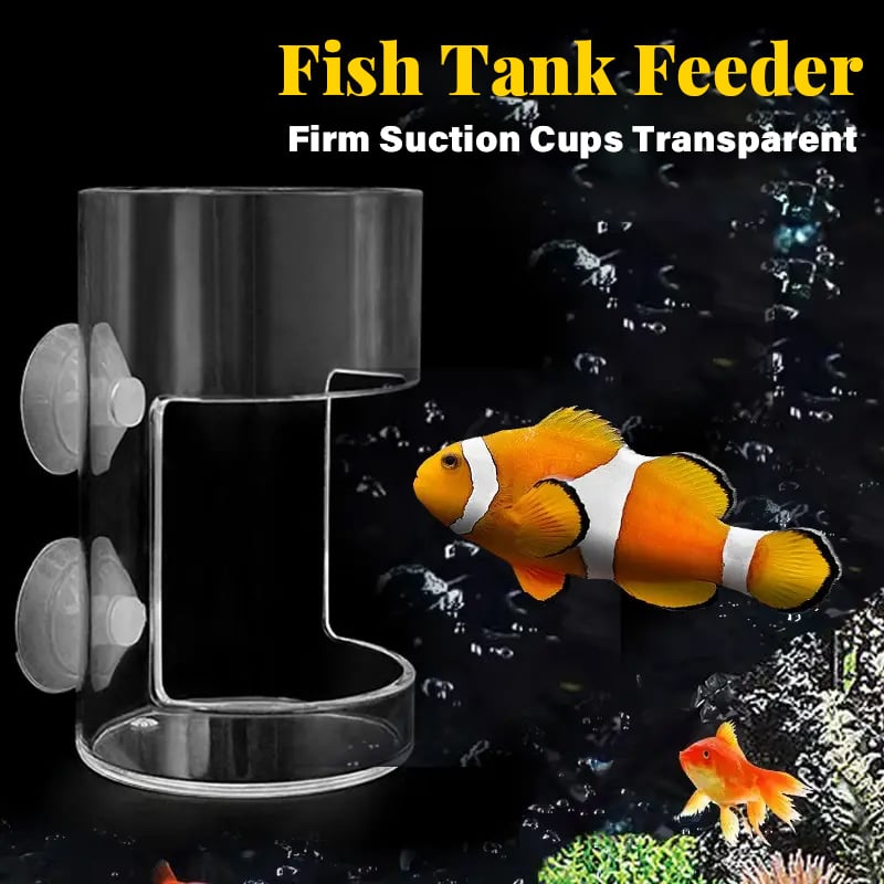 ⏳ Begrenzte Zeit 50% Rabatt!! 🐟✨ Futterring und -schale für Aquarien
