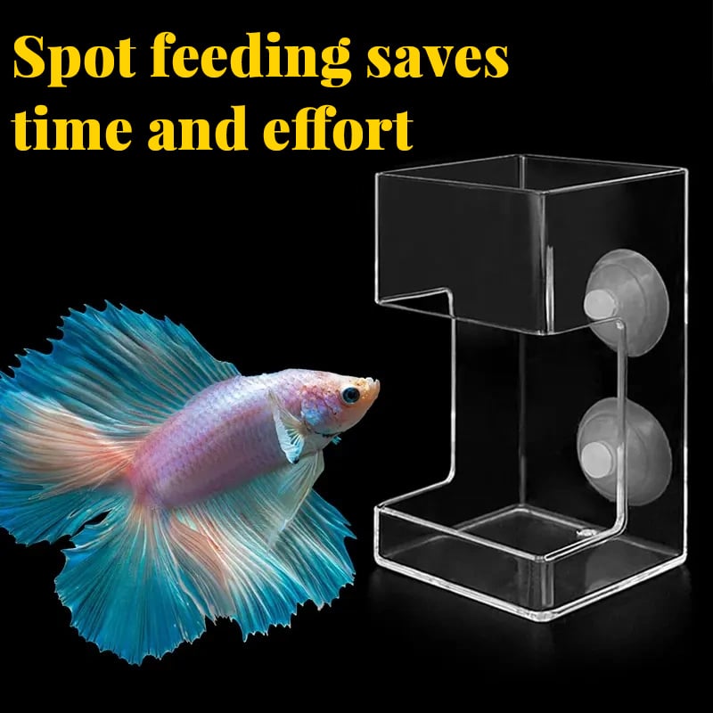 ⏳ Begrenzte Zeit 50% Rabatt!! 🐟✨ Futterring und -schale für Aquarien