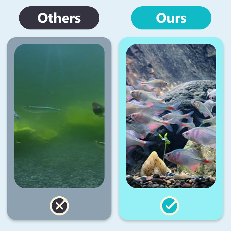 Begrenzte Zeit halber Preis - Magnetische Glasreinigungsbürste für das Aquarium