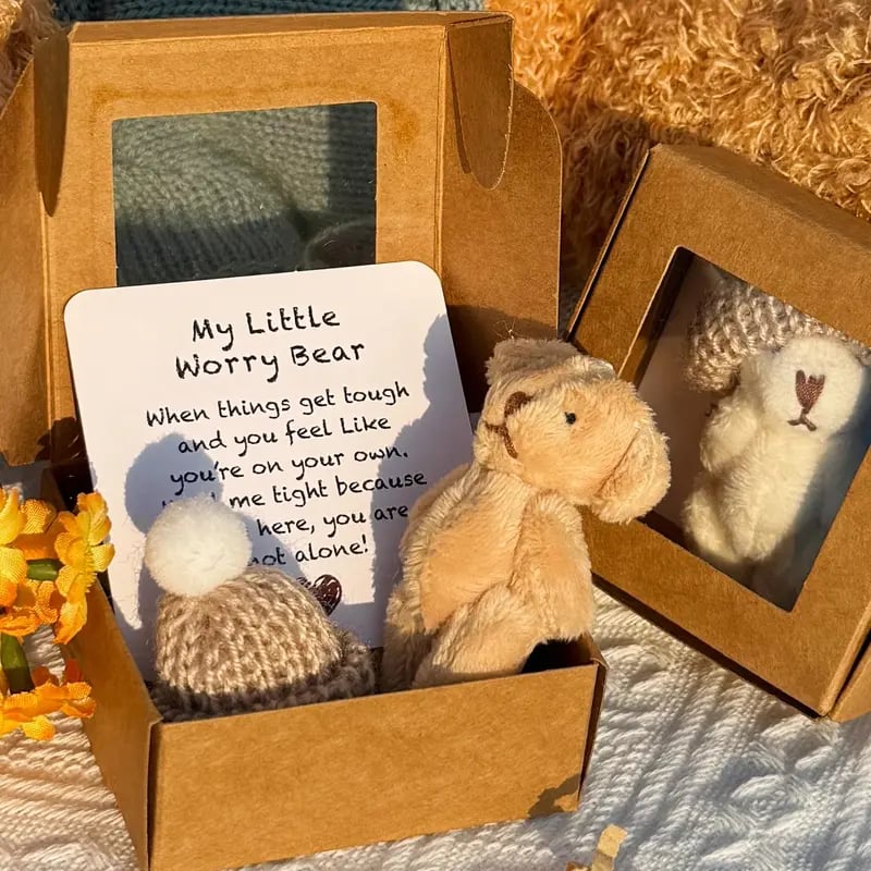 🎁Feiere Weihnachten mit 50 % Rabatt⏳Handgemachter Mini-Plüsch-Teddybär in Box🧸