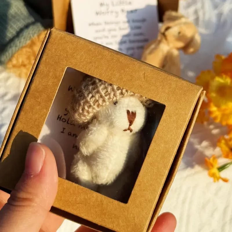 🎁Feiere Weihnachten mit 50 % Rabatt⏳Handgemachter Mini-Plüsch-Teddybär in Box🧸