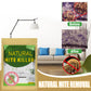 🔥🎁 2+1 GRATIS!!🥳💞 50K+ VERKAUFT! ⚡🍃Natürliches Milbenbekämpfungssäckchen