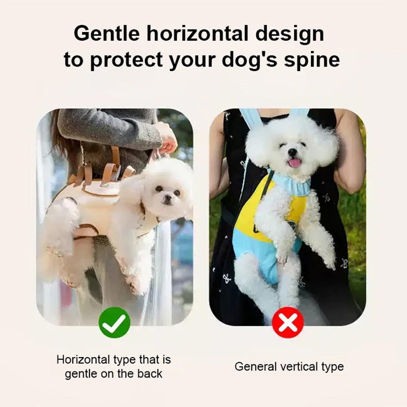🐶2-in-1 Tragbare, atmungsaktive Haustiertransportbox