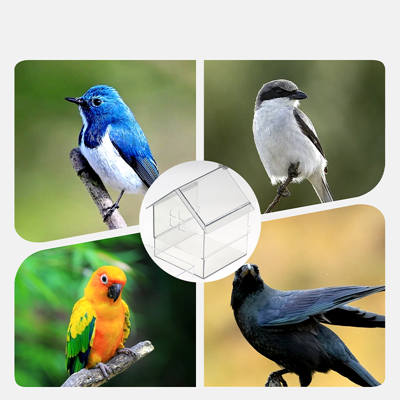 📢📢50 % Rabatt!!🥳 💞 50K+ VERKAUFT! 🎁🦜Ausziehbarer externer Papageienfutterspender