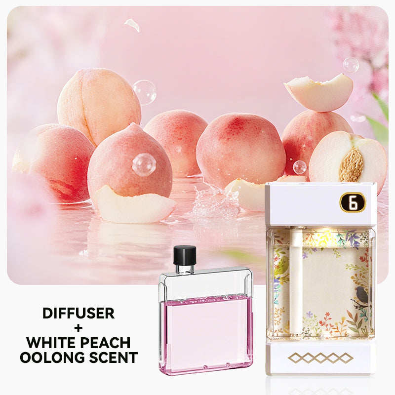 USB-aufladbarer Aromatherapie-Diffusor