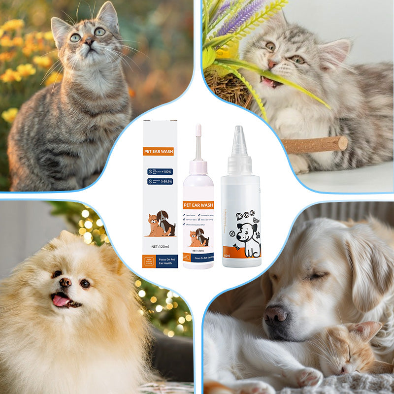 🐾 2 KAUFEN, 1 GRATIS! ✨ Der beruhigende Ohrenreiniger für sensible Hunde & Katzen - Mit hautberuhigender Aloe |  Reinigt schonend, beruhigt die Haut & beugt Entzündungen vor🌿👂