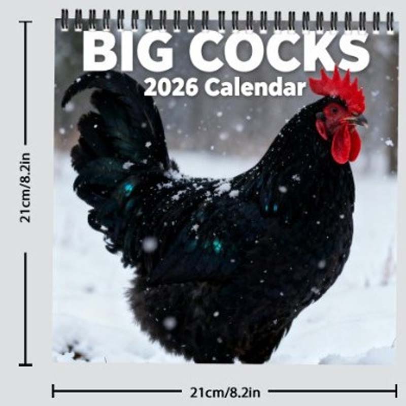 🎁🎁Zweites Exemplar nur für 6 €! 🐱Lustiger Tierkalender 2026 Kalender😄