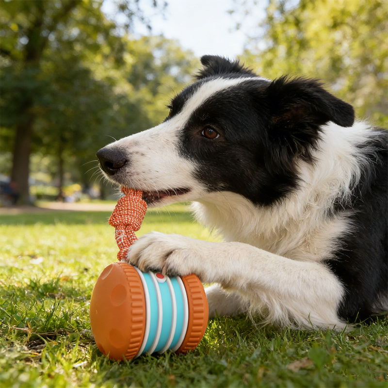 🐕 50% RABATT | ✨ Interaktives Rollspielzeug für Hunde – Spaß & Bewegung für Ihren Vierbeiner! 🎾 Die perfekte Lösung gegen Langeweile & überschüssige Energie!