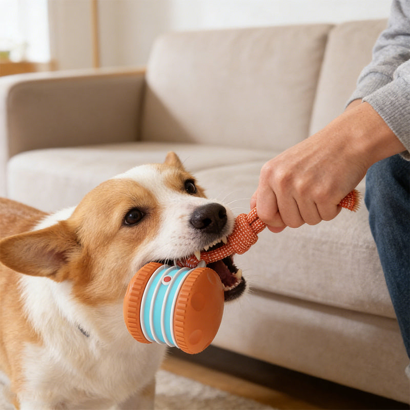 🐕 50% RABATT | ✨ Interaktives Rollspielzeug für Hunde – Spaß & Bewegung für Ihren Vierbeiner! 🎾 Die perfekte Lösung gegen Langeweile & überschüssige Energie!