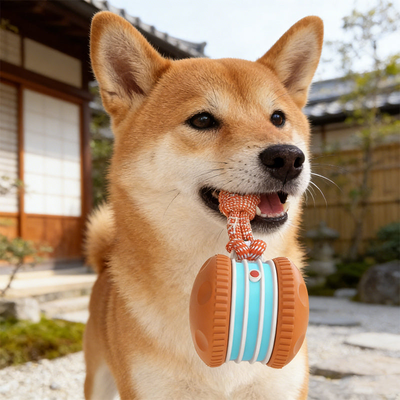 🐕 50% RABATT | ✨ Interaktives Rollspielzeug für Hunde – Spaß & Bewegung für Ihren Vierbeiner! 🎾 Die perfekte Lösung gegen Langeweile & überschüssige Energie!