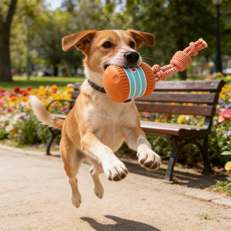 🐕 50% RABATT | ✨ Interaktives Rollspielzeug für Hunde – Spaß & Bewegung für Ihren Vierbeiner! 🎾 Die perfekte Lösung gegen Langeweile & überschüssige Energie!