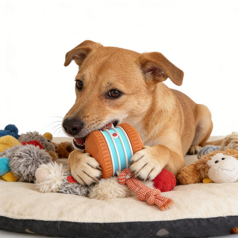 🐕 50% RABATT | ✨ Interaktives Rollspielzeug für Hunde – Spaß & Bewegung für Ihren Vierbeiner! 🎾 Die perfekte Lösung gegen Langeweile & überschüssige Energie!