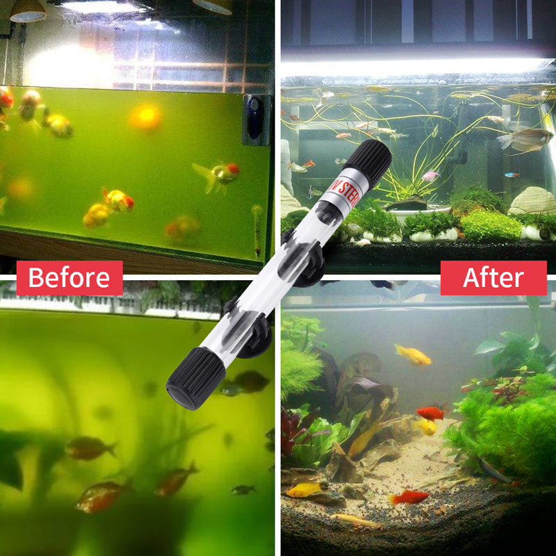 🐟 BIS ZU 9€ SPAREN + 50% Rabatt! ✨ Der UV-Wasserklärer mit Timer – tötet unsichtbare Krankheitserreger, beugt Algen vor. Einfache Installation.
