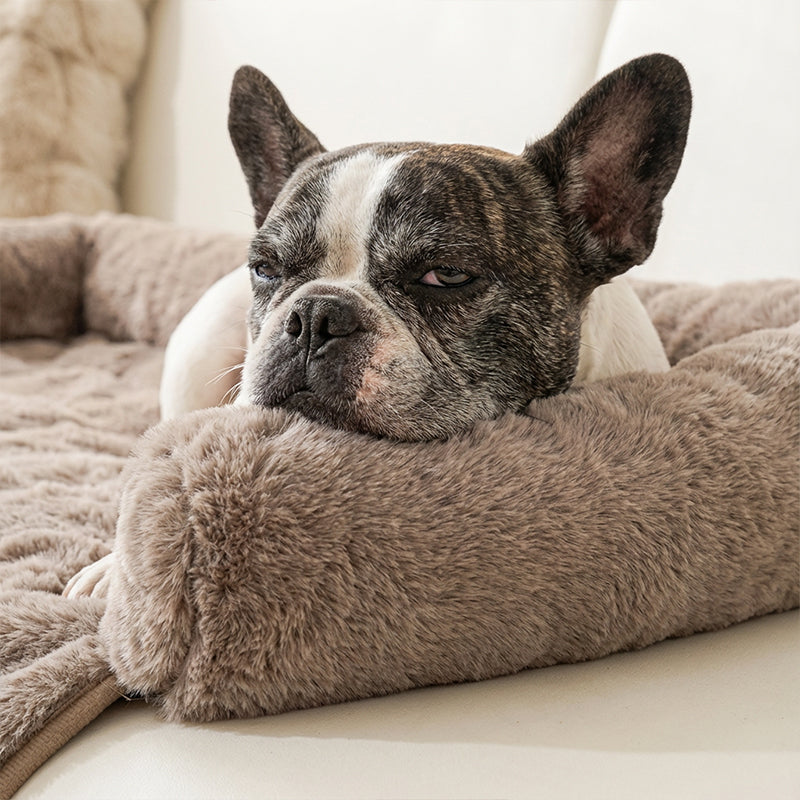 🐾 50 % Rabatt!! 🛏️Verdicktes warmes rutschfestes Haustierbett mit erhöhtem Rand