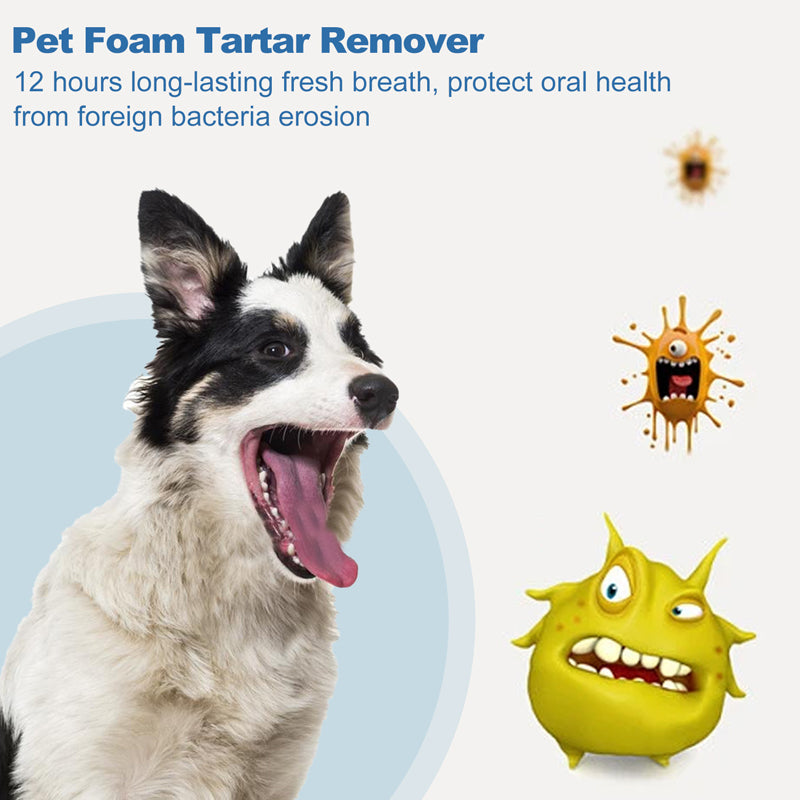 💘 Valentinstagsangebot: 50% Rabatt +2 kaufen, 1 gratis!! 🐾 Schaum-Zahnsteinentferner für Haustiere – Natürliche Formel & mühelose Anwendung!