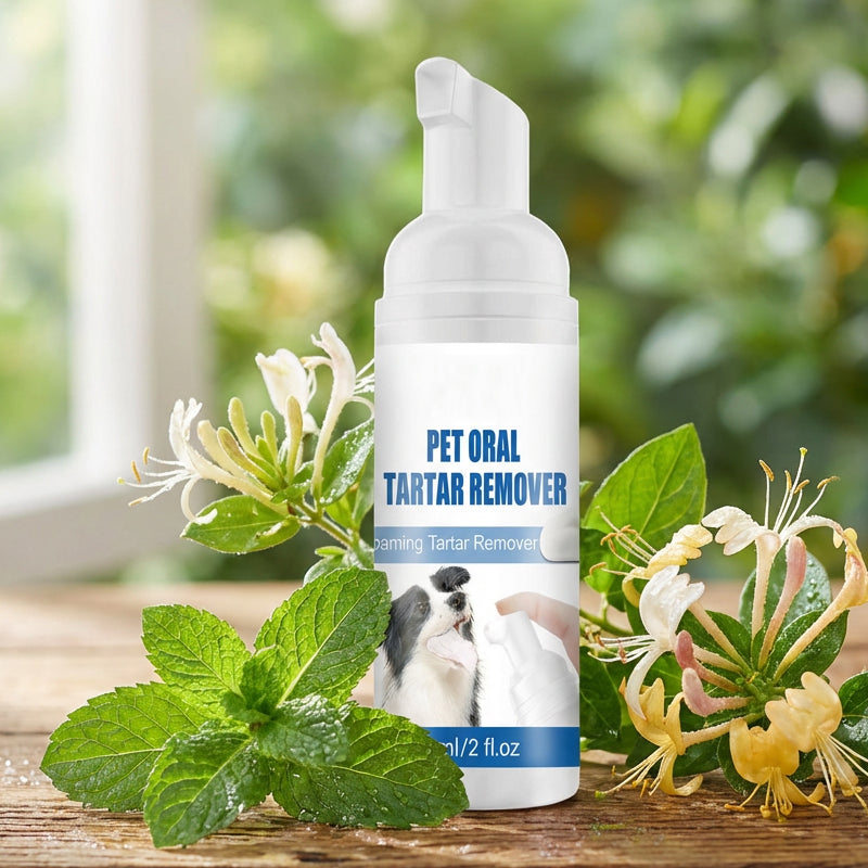 💘 Valentinstagsangebot: 50% Rabatt +2 kaufen, 1 gratis!! 🐾 Schaum-Zahnsteinentferner für Haustiere – Natürliche Formel & mühelose Anwendung!