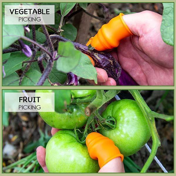 🌿👍 Daumenmesser für die Gartenarbeit – Fingermesser aus Edelstahl für die Ernte von Gemüse, Obst und Blumen