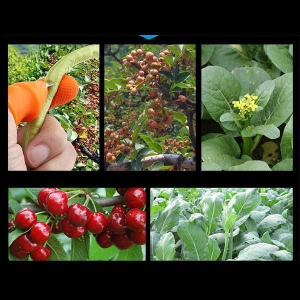 🌿👍 Daumenmesser für die Gartenarbeit – Fingermesser aus Edelstahl für die Ernte von Gemüse, Obst und Blumen