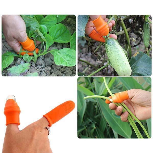 🌿👍 Daumenmesser für die Gartenarbeit – Fingermesser aus Edelstahl für die Ernte von Gemüse, Obst und Blumen