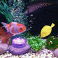 📢📢50 % Rabatt!! ⏰ 2+1 GRATIS!! 🎁💥Unterwasser-LED-Poolleuchten (mit Funkfernbedienung)