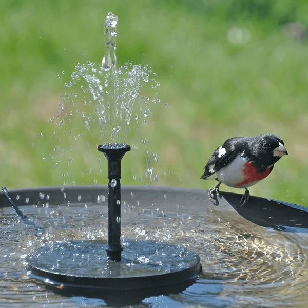 🔥Heiße Angebote -50 %🔥🔥Solar-Vogelbrunnen🐦️